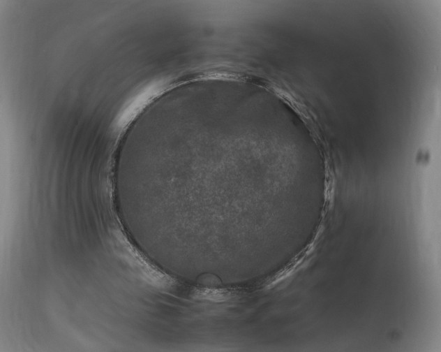 X0000113290341200909211108