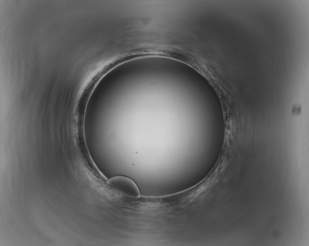 X0000113290342200909211108