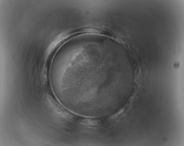 X0000113290343200909211108