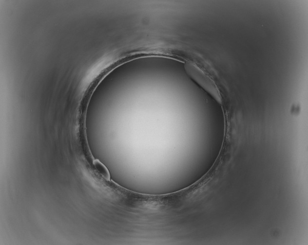 X0000113290344200909211108