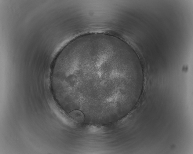 X0000113290346200909211108