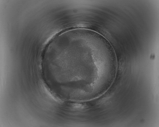 X0000113290347200909211108