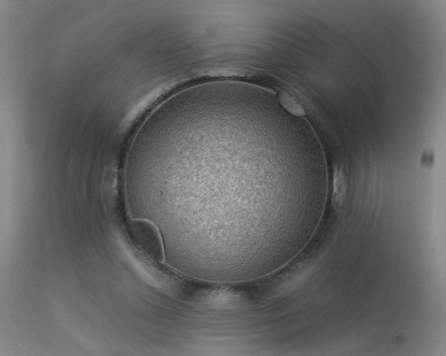 X0000113290348200909211108