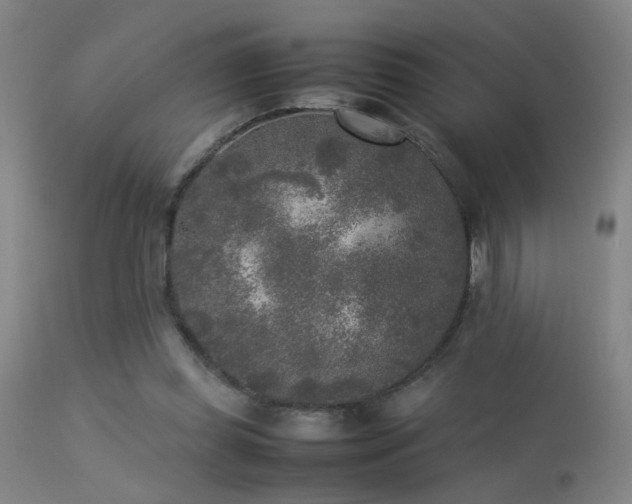 X0000113290349200909211108