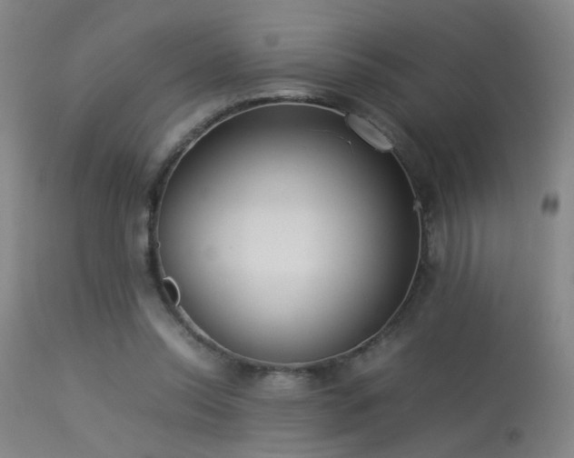 X0000113290350200909211108