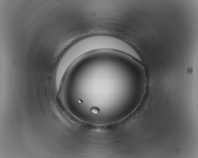 X0000113290352200909211108