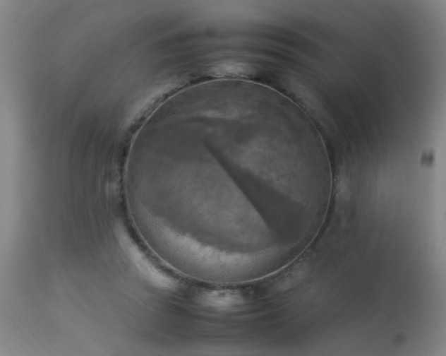 X0000113290353200909211109