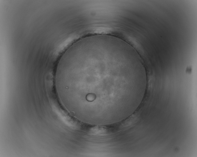 X0000113290354200909211109