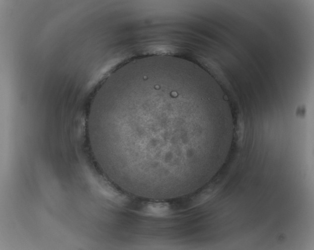 X0000113290355200909211109