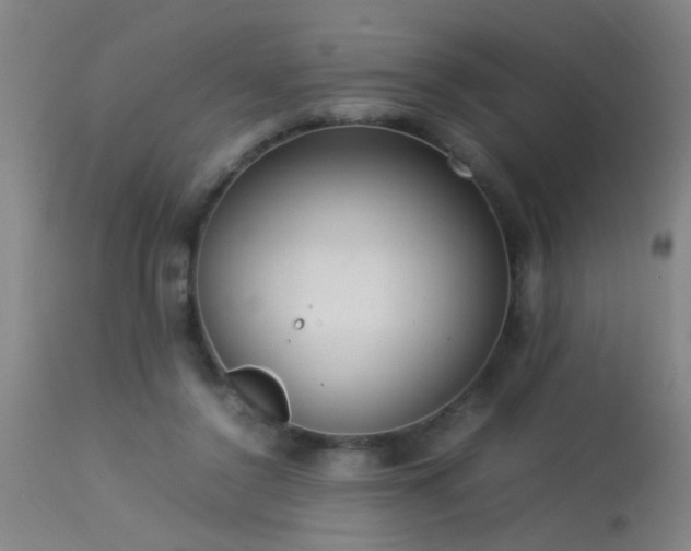 X0000113290356200909211109