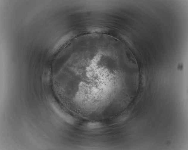 X0000113290357200909211109