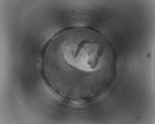 X0000113290359200909211109