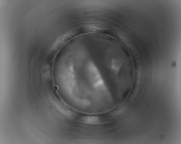 X0000113290361200909211109