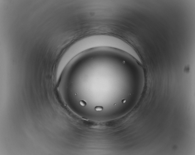 X0000113290362200909211109