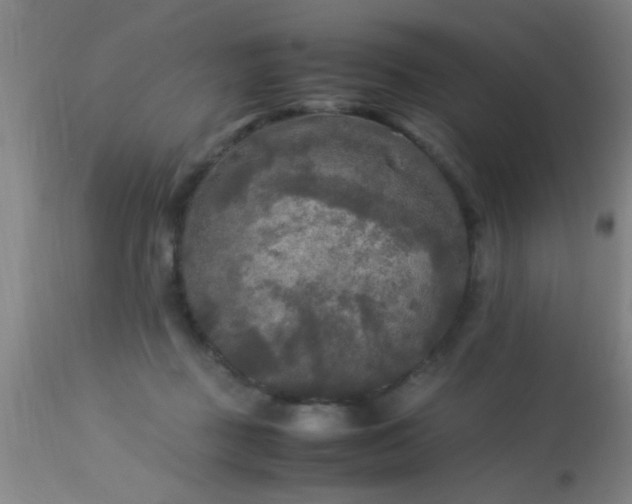 X0000113290363200909211109