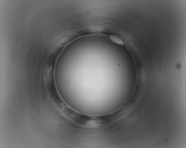 X0000113290364200909211109