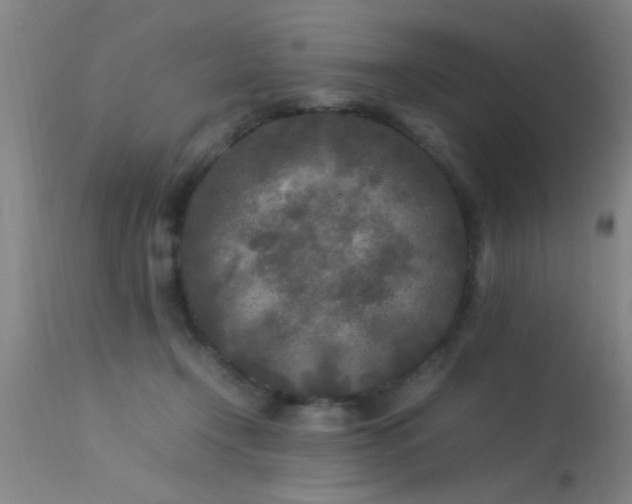 X0000113290366200909211109