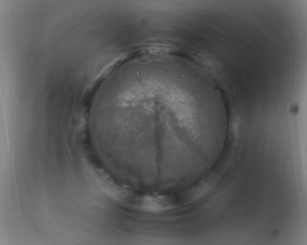 X0000113290367200909211109