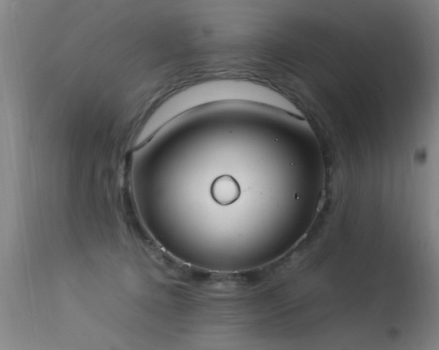 X0000113290368200909211109