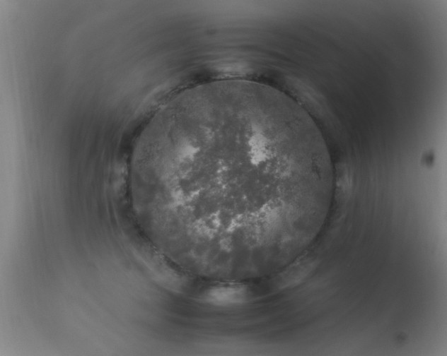 X0000113290369200909211109