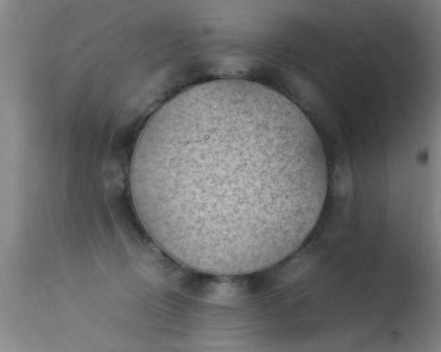 X0000113290370200909211109