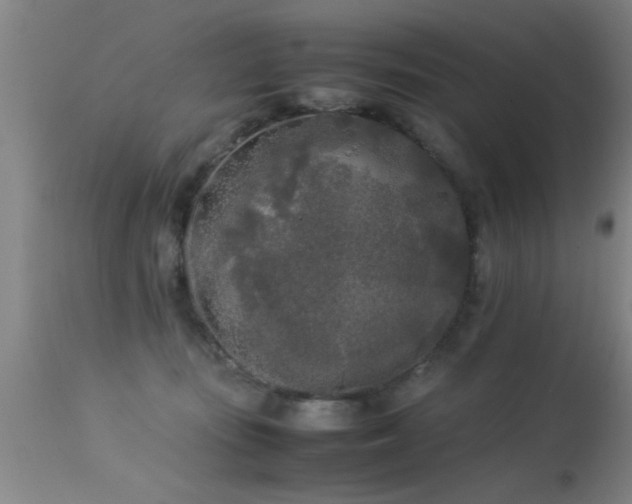 X0000113290371200909211109