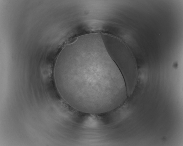 X0000113290372200909211109