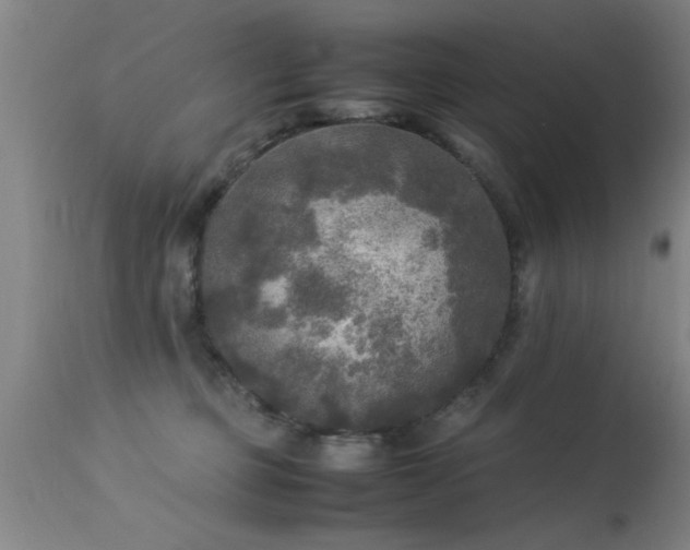 X0000113290373200909211109