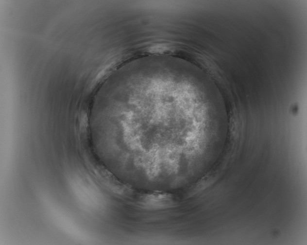 X0000113290375200909211109