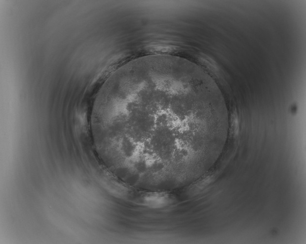 X0000113290377200909211109