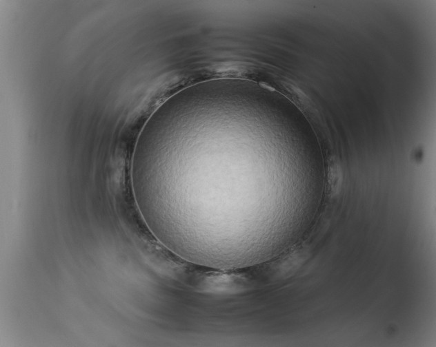 X0000113290379200909211109