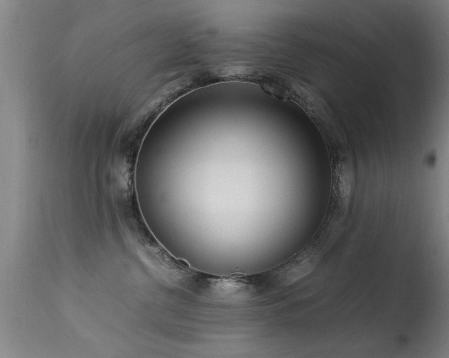 X0000113290380200909211109