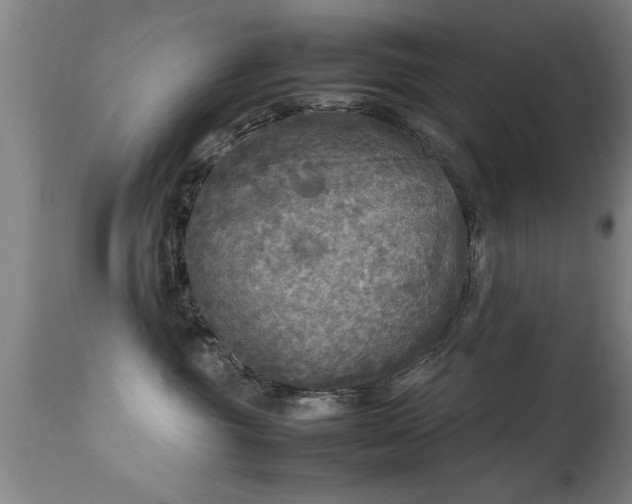 X0000113290381200909211109