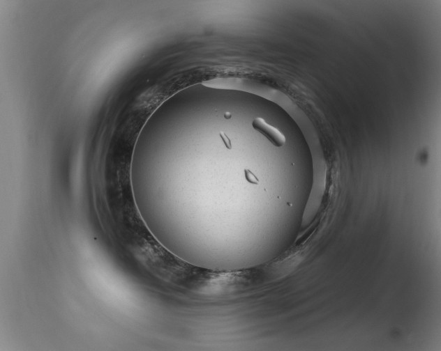 X0000113290382200909211109