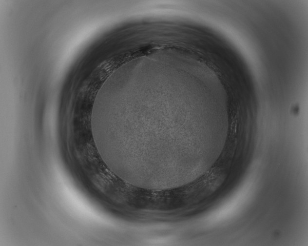 X0000113290383200909211109