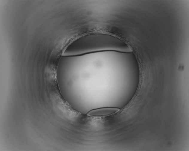 X0000113290384200909211109