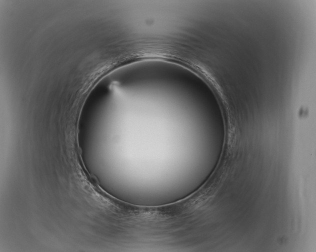 X0000113290385200909211108