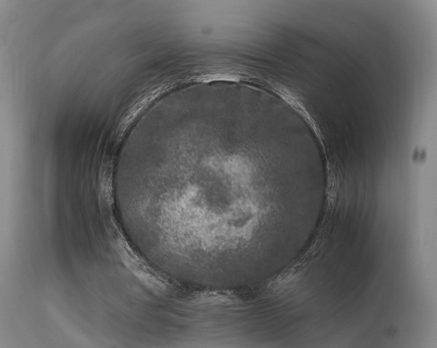 X0000113290386200909211108