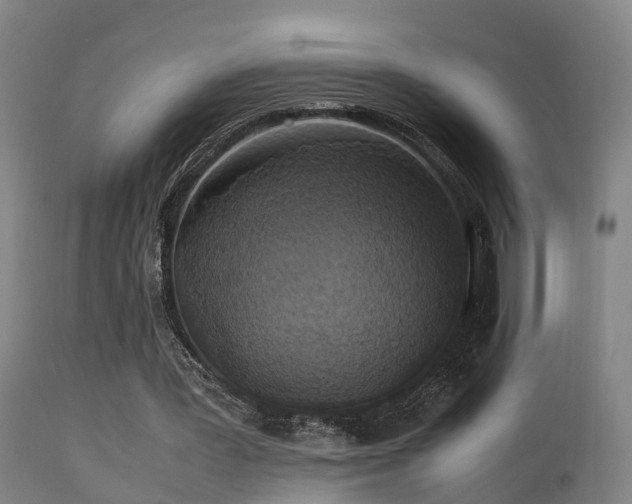 X0000113290387200909211108