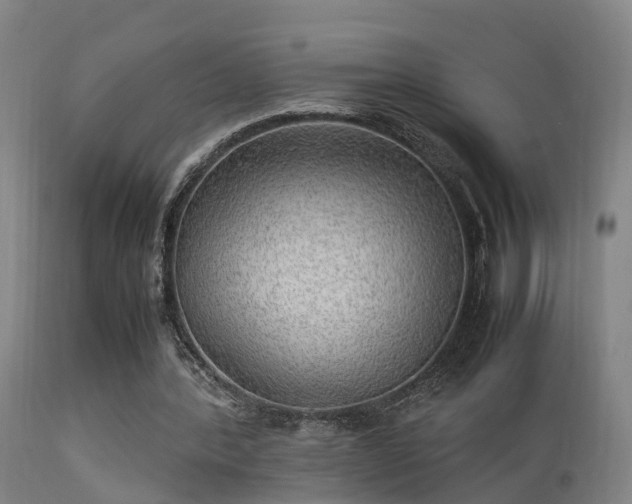 X0000113290388200909211108