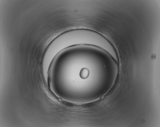 X0000113290389200909211108