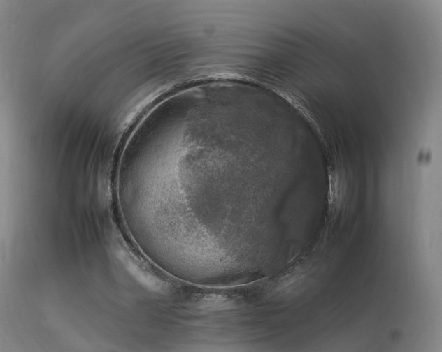 X0000113290390200909211108