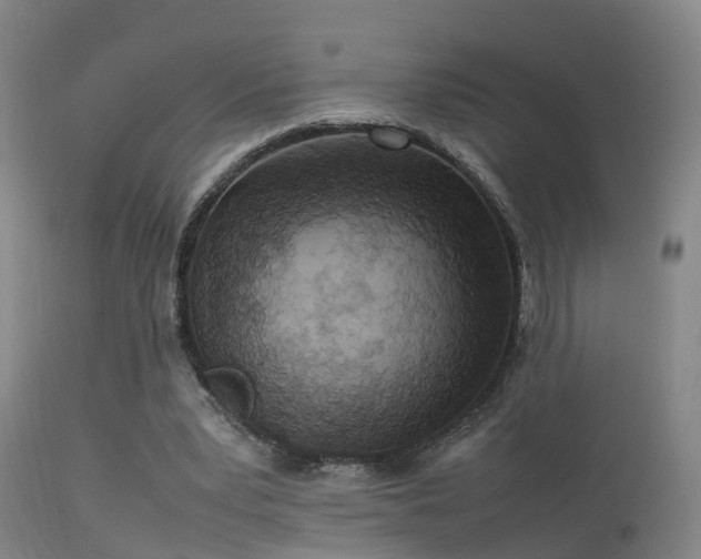 X0000113290391200909211108