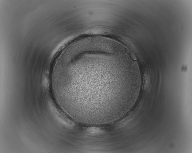 X0000113290392200909211108