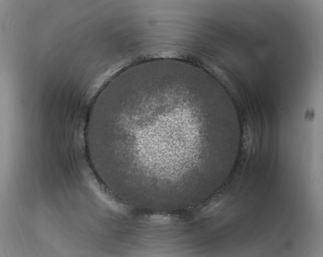 X0000113290394200909211108