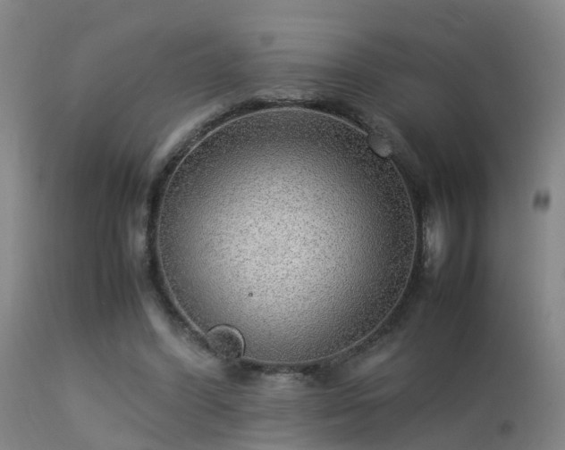 X0000113290396200909211108