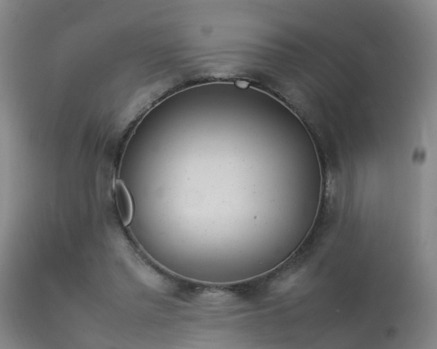 X0000113290397200909211108