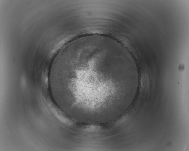 X0000113290398200909211108