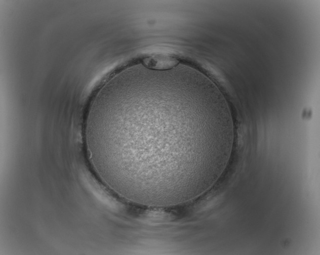 X0000113290399200909211108