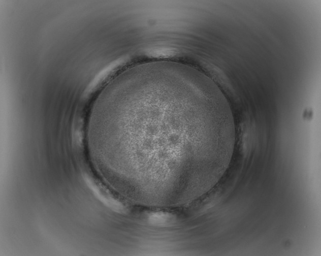 X0000113290400200909211108